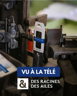 Des racines et des ailes